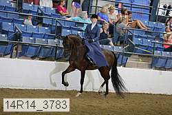 14r14_3783 proof