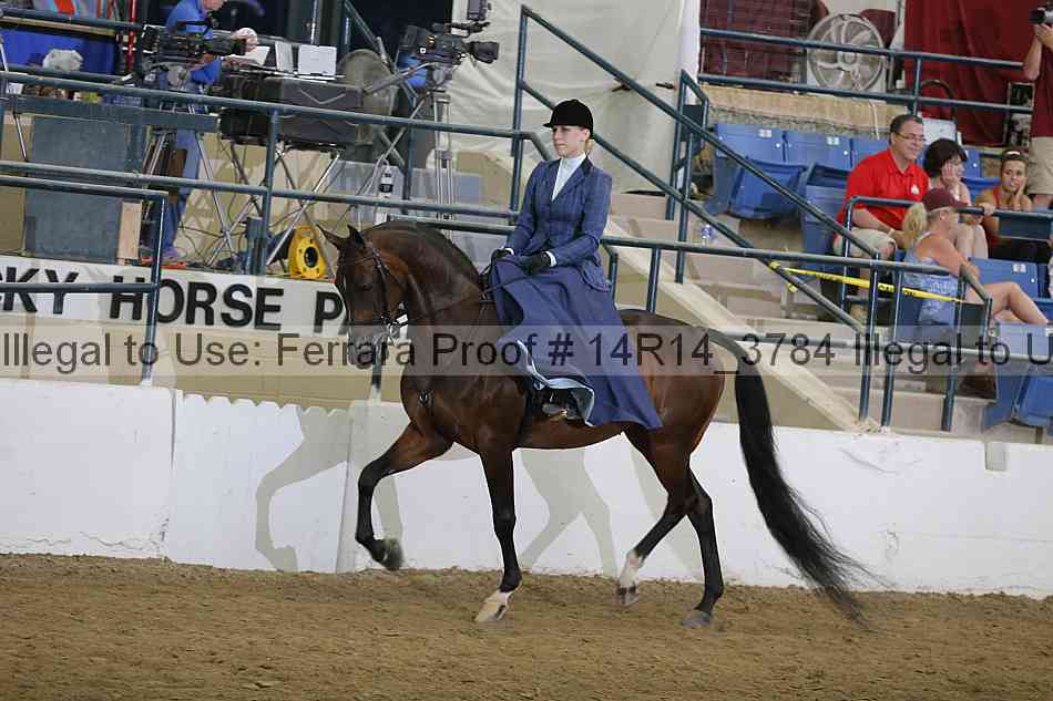 Proof 14r14_3784
