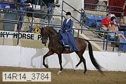 14r14_3784 proof