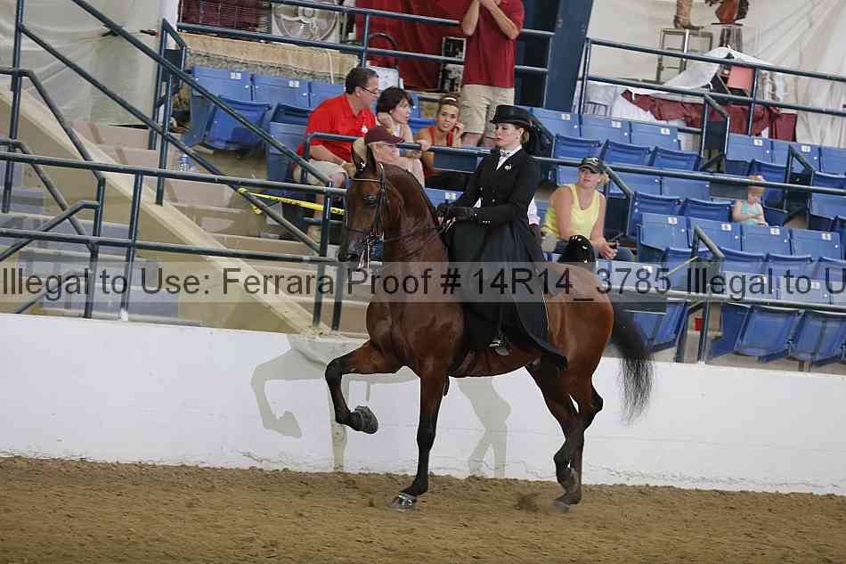 Proof 14r14_3785