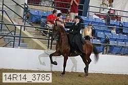 14r14_3785 proof