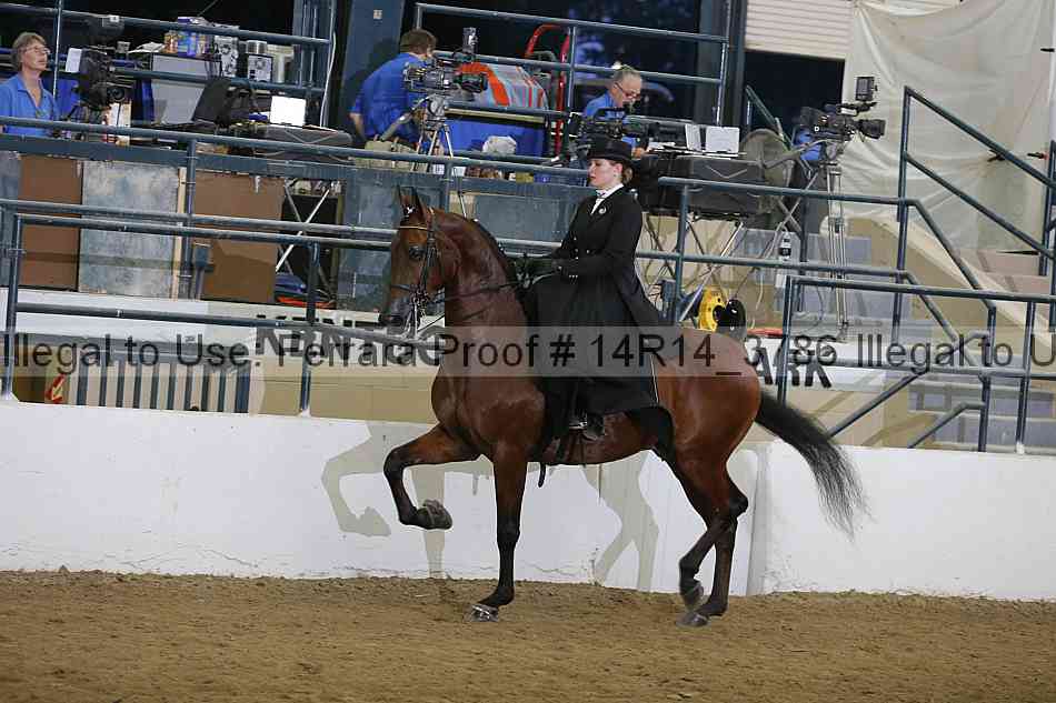 Proof 14r14_3786