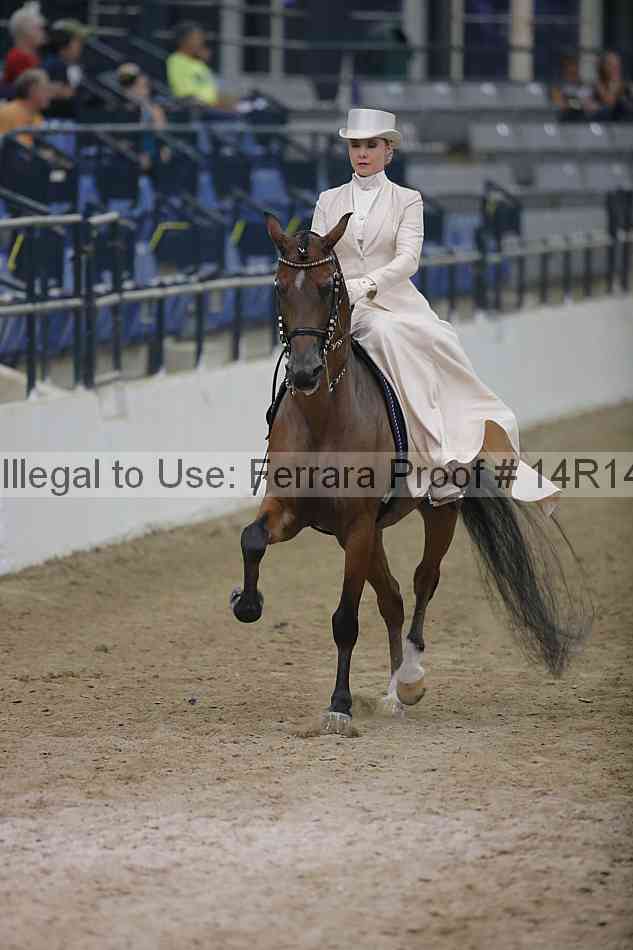 Proof 14r14_3787