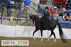 14r14_3788 proof