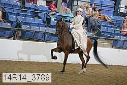 14r14_3789 proof