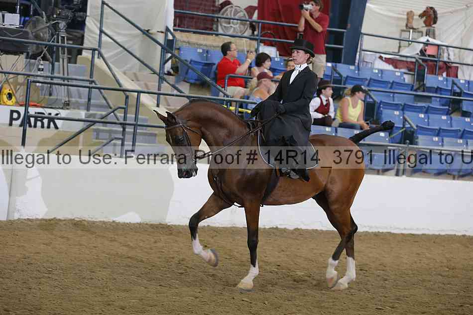 Proof 14r14_3791