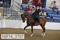 14r14_3791 proof