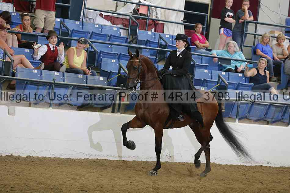 Proof 14r14_3793