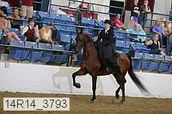 14r14_3793 proof