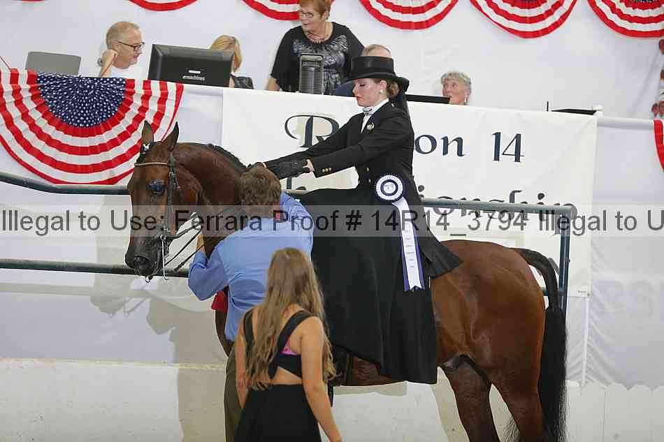 Proof 14r14_3794