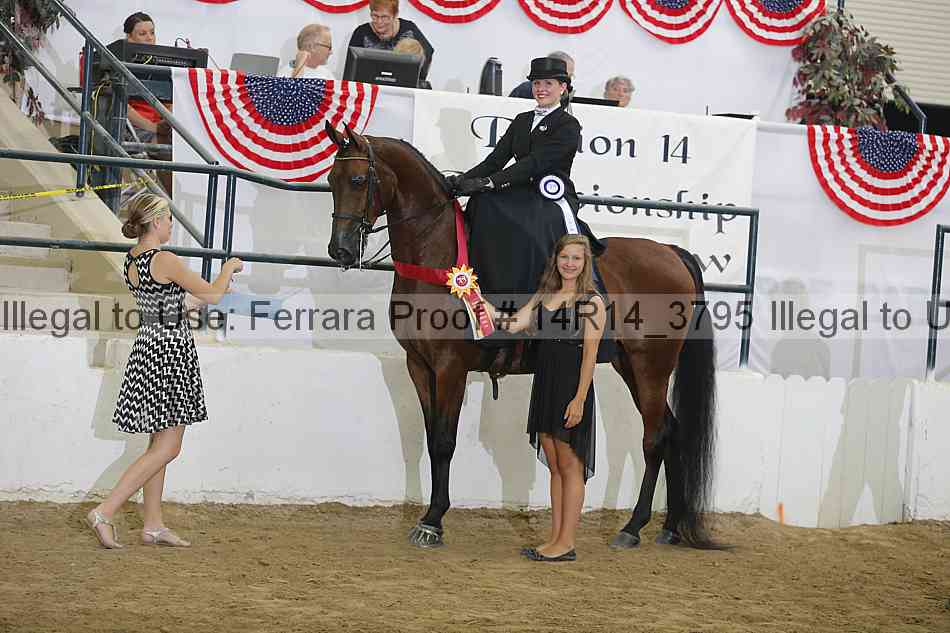 Proof 14r14_3795