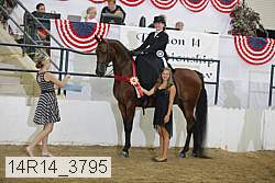 14r14_3795 proof