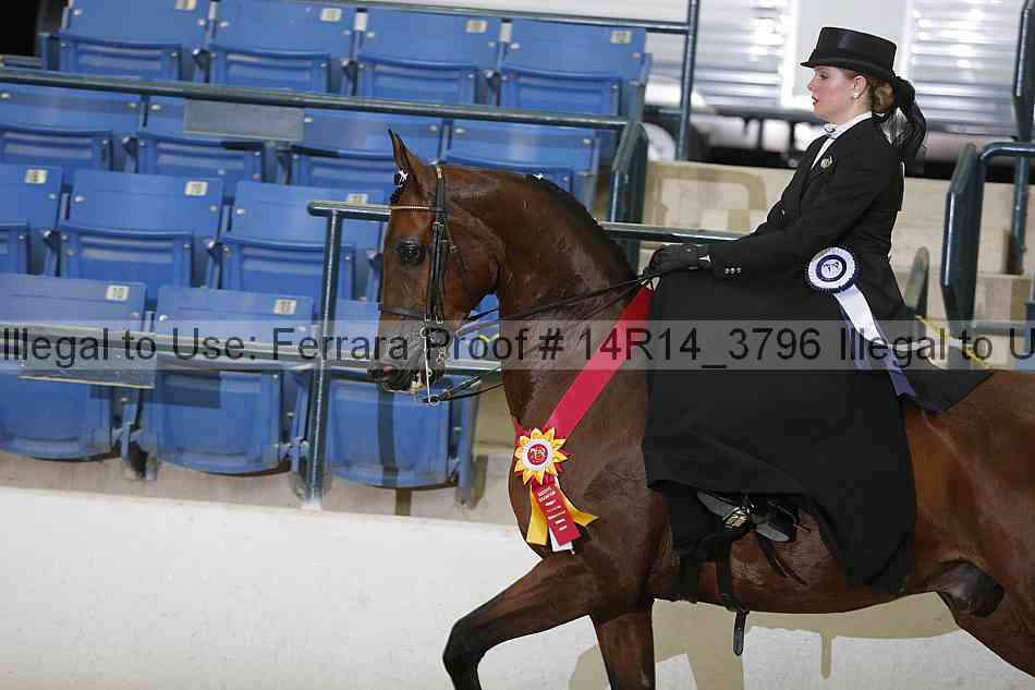 Proof 14r14_3796