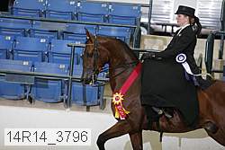 14r14_3796 proof