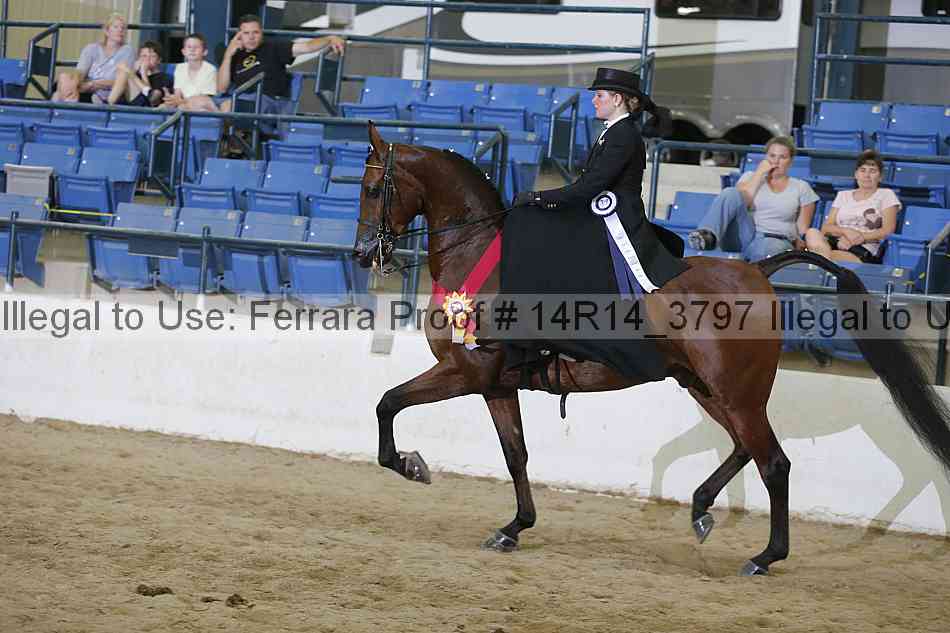 Proof 14r14_3797