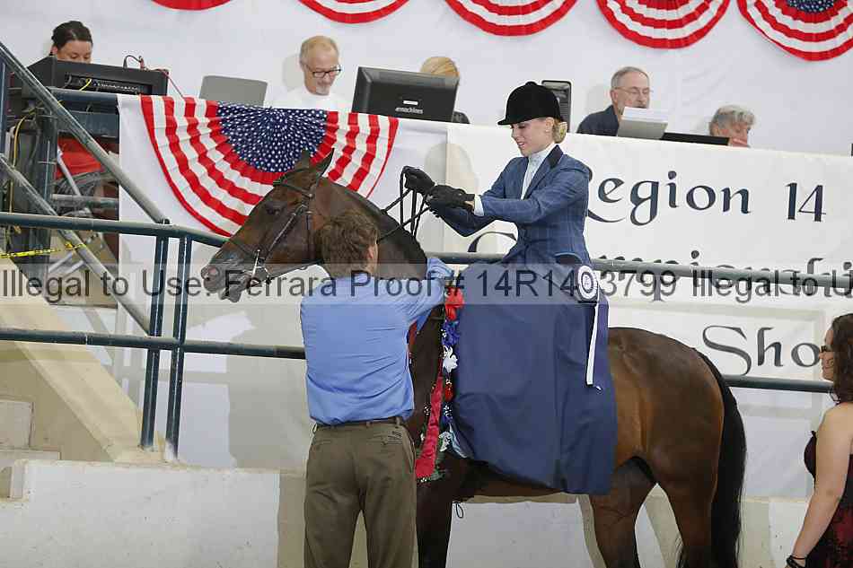 Proof 14r14_3799