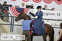 14r14_3799 proof