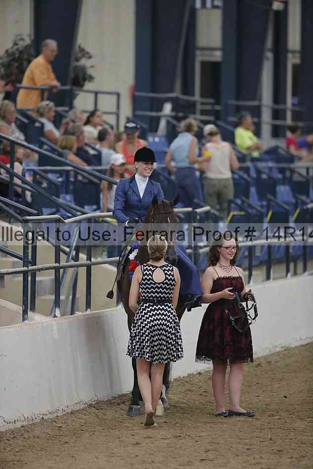 Proof 14r14_3801
