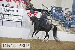 14r14_3803 proof