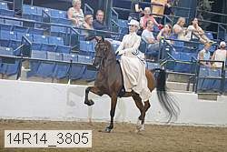 14r14_3805 proof
