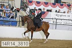 14r14_3810 proof