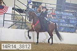 14r14_3812 proof