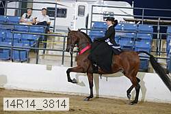 14r14_3814 proof