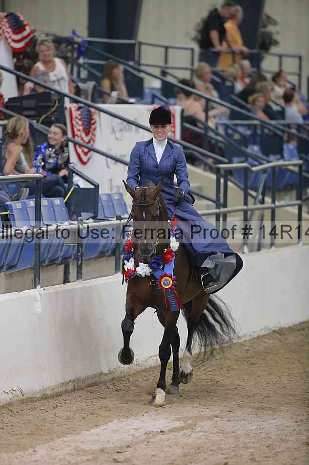 Proof 14r14_3820
