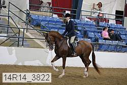 14r14_3822 proof