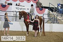 14r14_3832 proof