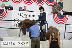 14r14_3833 proof
