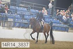 14r14_3837 proof