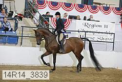 14r14_3839 proof