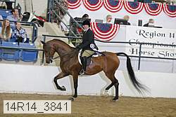 14r14_3841 proof