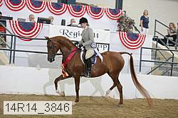 14r14_3846 proof