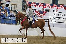 14r14_3847 proof