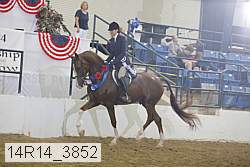 14r14_3852 proof