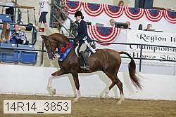 14r14_3853 proof
