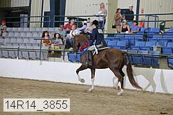 14r14_3855 proof
