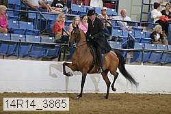 14r14_3865 proof