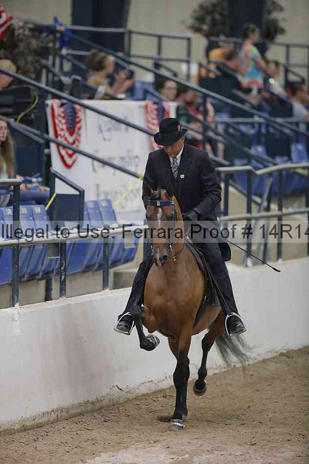 Proof 14r14_3871