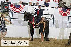 14r14_3872 proof