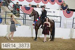 14r14_3873 proof