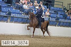 14r14_3874 proof