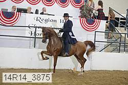 14r14_3875 proof