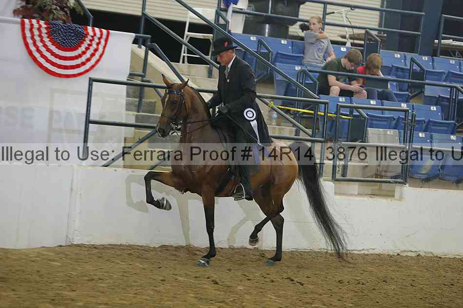Proof 14r14_3876