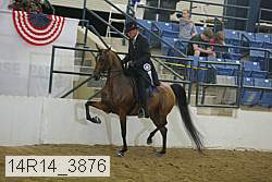 14r14_3876 proof
