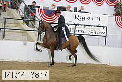 14r14_3877 proof