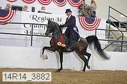 14r14_3882 proof