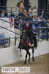 14r14_3883 proof